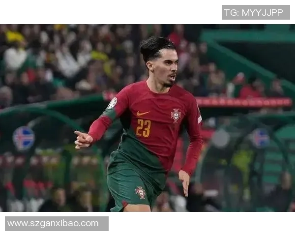 葡萄牙U15足球天才崭露头角潜力巨大备受关注 葡萄牙U15足球天才崭露头角潜力巨大备受关注